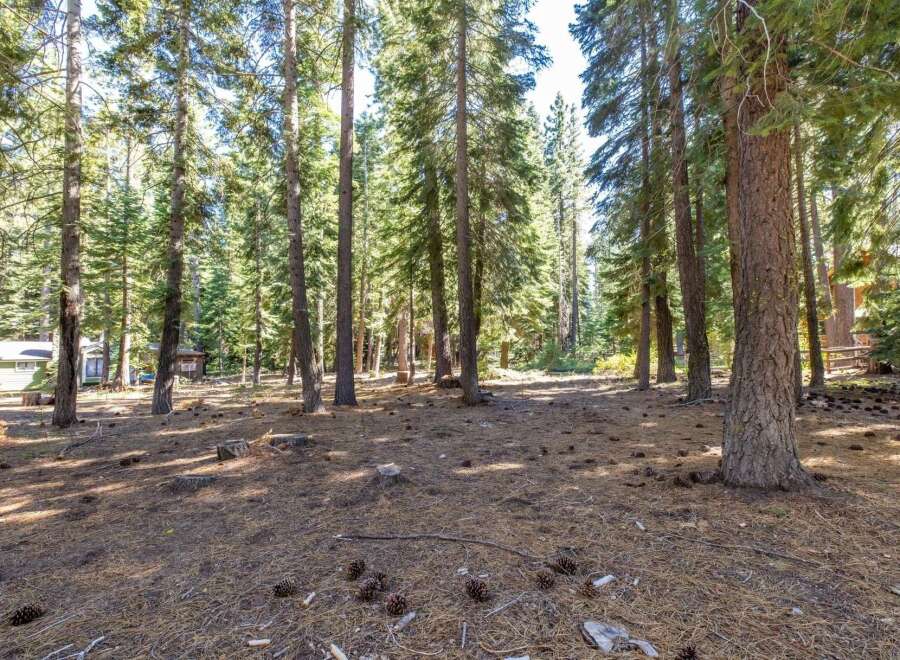 Nestled within a serene pine forest, this property offers a tranquil escape with mature trees and a natural, woodsy ambiance.