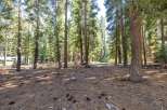 Nestled within a serene pine forest, this property offers a tranquil escape with mature trees and a natural, woodsy ambiance.