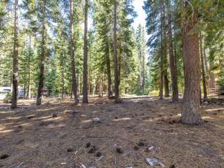 Nestled within a serene pine forest, this property offers a tranquil escape with mature trees and a natural, woodsy ambiance.