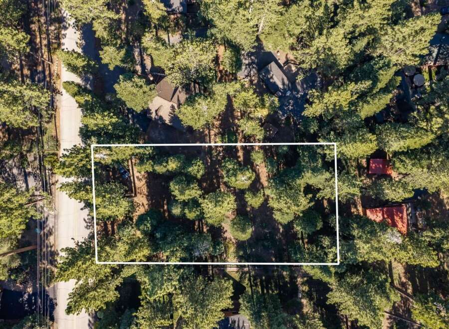 Discover this picturesque wooded lot, perfect for building your dream home amidst towering trees.