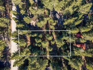 Discover this picturesque wooded lot, perfect for building your dream home amidst towering trees.