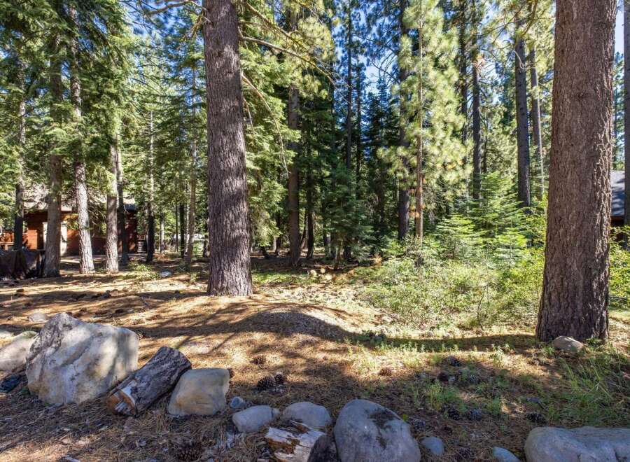 Nestled within a serene pine forest, this property offers a tranquil escape with its rustic charm and natural beauty.