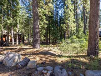 Nestled within a serene pine forest, this property offers a tranquil escape with its rustic charm and natural beauty.