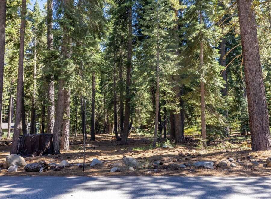 Discover your dream mountain retreat nestled amongst towering pine trees, offering a serene and private setting.