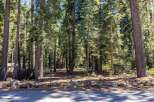 Discover your dream mountain retreat nestled amongst towering pine trees, offering a serene and private setting.