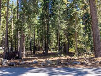 Discover your dream mountain retreat nestled amongst towering pine trees, offering a serene and private setting.