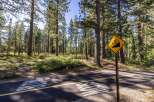 Discover this stunning property nestled amidst a serene pine forest, offering a unique blend of natural beauty and outdoor adventure.