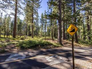 Discover this stunning property nestled amidst a serene pine forest, offering a unique blend of natural beauty and outdoor adventure.