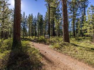 Explore the natural beauty of this property, featuring a well-maintained dirt trail winding through a serene pine forest.