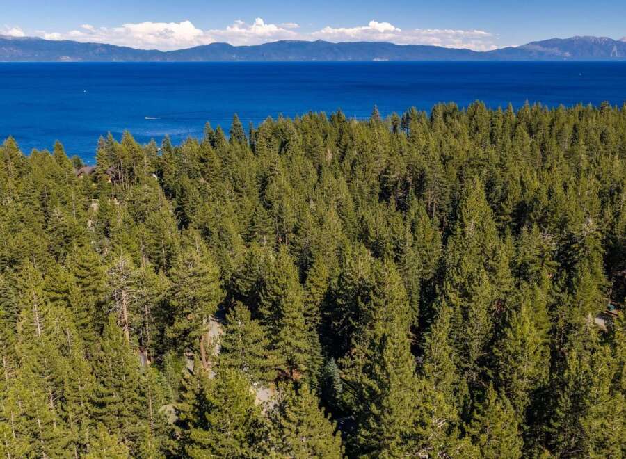 Experience the ultimate mountain lifestyle with this stunning aerial view of a property nestled amidst a dense pine forest.