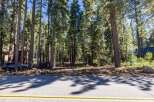 Nestled amongst towering pine trees, this property offers a serene and private setting.