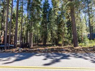 Nestled amongst towering pine trees, this property offers a serene and private setting.