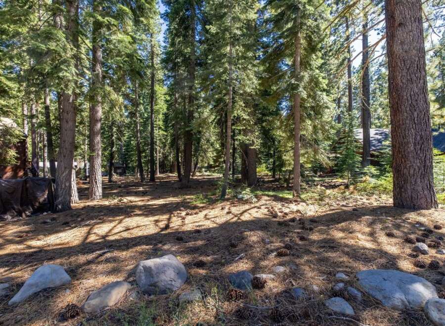 Nestled within a serene forest, this property offers a tranquil escape surrounded by towering pine trees.