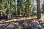 Nestled within a serene forest, this property offers a tranquil escape surrounded by towering pine trees.