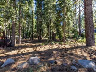 Nestled within a serene forest, this property offers a tranquil escape surrounded by towering pine trees.