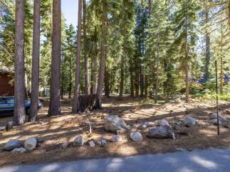 Nestled within a serene pine forest, this property offers a tranquil escape with abundant natural beauty.