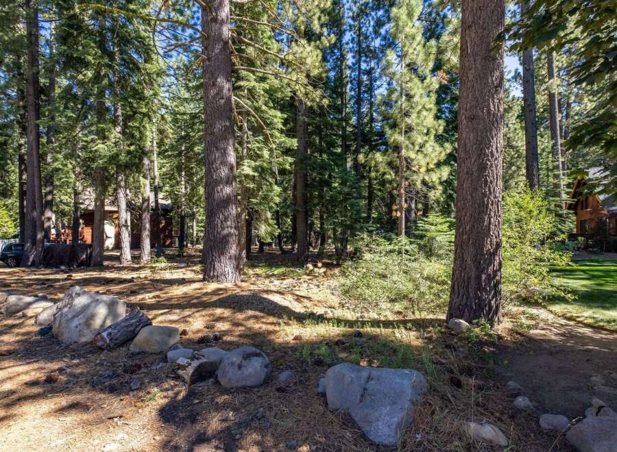 Nestled amongst towering pine trees, this property offers a serene and private retreat.