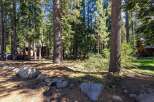 Nestled amongst towering pine trees, this property offers a serene and private retreat.