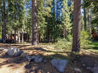 Nestled amongst towering pine trees, this property offers a serene and private retreat.