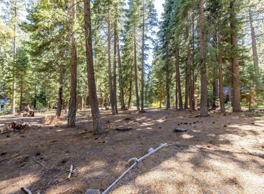 Discover a serene forest setting with mature trees providing ample shade and privacy.