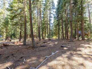 Discover a serene forest setting with mature trees providing ample shade and privacy.