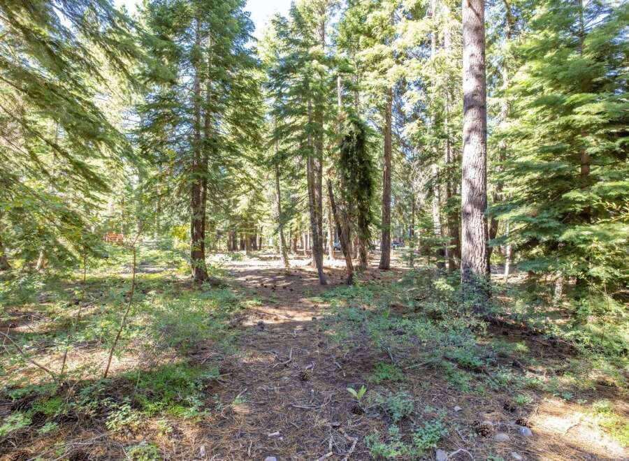 Nestled within a serene pine forest, this property offers a tranquil escape surrounded by mature trees and natural beauty.