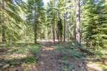 Nestled within a serene pine forest, this property offers a tranquil escape surrounded by mature trees and natural beauty.