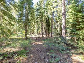 Nestled within a serene pine forest, this property offers a tranquil escape surrounded by mature trees and natural beauty.