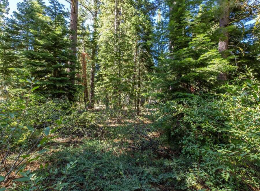 Discover the serene beauty of this wooded lot, perfect for building your dream home or a private getaway.