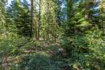 Discover the serene beauty of this wooded lot, perfect for building your dream home or a private getaway.