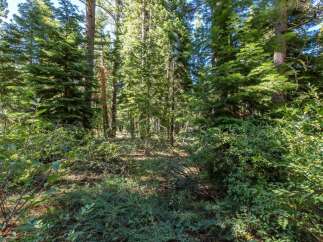Discover the serene beauty of this wooded lot, perfect for building your dream home or a private getaway.