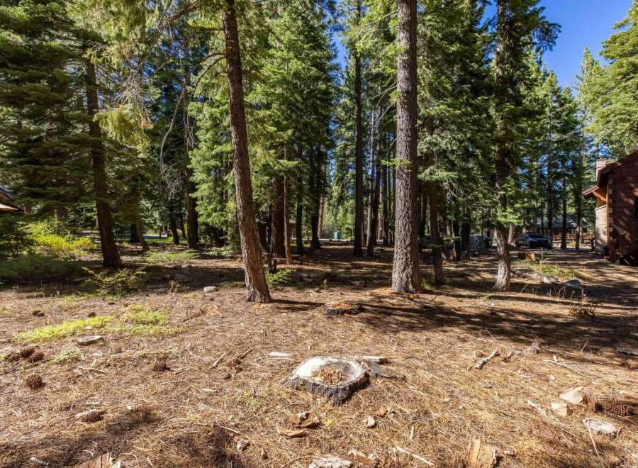 Nestled within a serene pine forest, this property offers a tranquil escape with abundant natural beauty.
