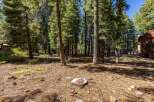 Nestled within a serene pine forest, this property offers a tranquil escape with abundant natural beauty.