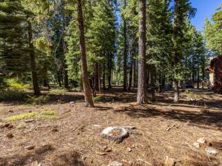 Nestled within a serene pine forest, this property offers a tranquil escape with abundant natural beauty.