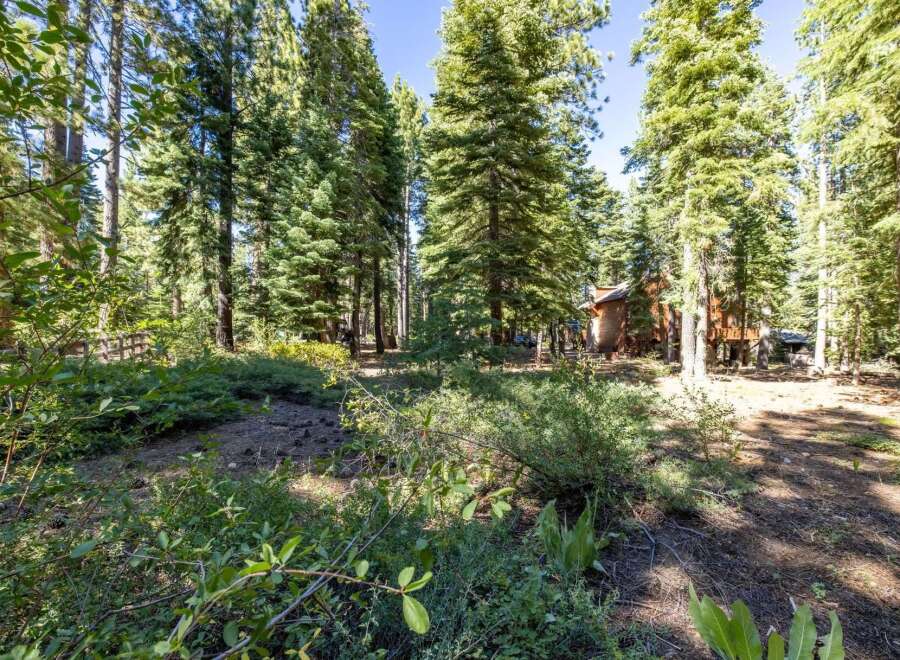 Nestled amidst towering pine trees, this property offers a serene forest retreat.