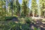 Nestled amidst towering pine trees, this property offers a serene forest retreat.