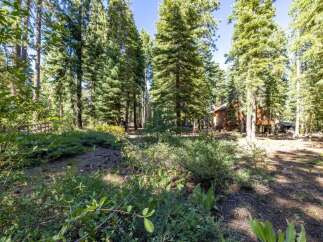 Nestled amidst towering pine trees, this property offers a serene forest retreat.