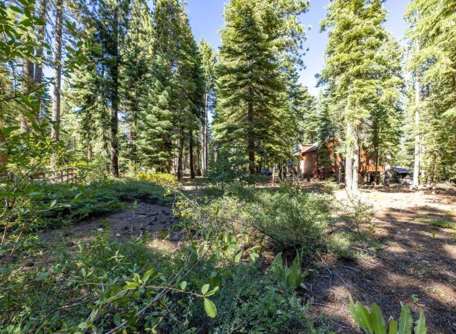 Nestled amidst towering pine trees, this property offers a serene forest retreat.