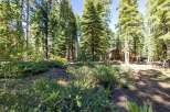 Nestled amidst towering pine trees, this property offers a serene forest retreat.