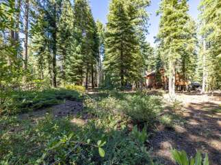 Nestled amidst towering pine trees, this property offers a serene forest retreat.