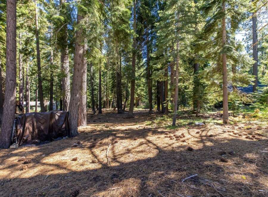 Nestled within a serene pine forest, this property offers a tranquil escape surrounded by mature trees and abundant natural beauty.