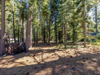 Nestled within a serene pine forest, this property offers a tranquil escape surrounded by mature trees and abundant natural beauty.
