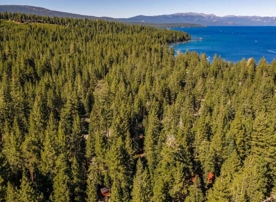 Discover your dream retreat nestled within a dense forest, offering unparalleled privacy and tranquility.