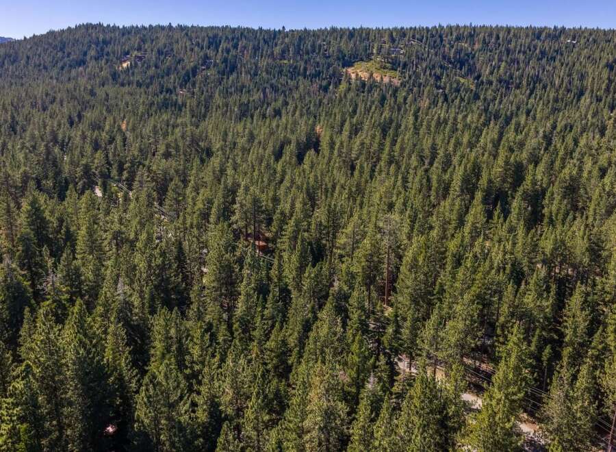 Nestled amidst a dense forest of mature pine trees, this property offers unparalleled privacy and a serene natural setting.