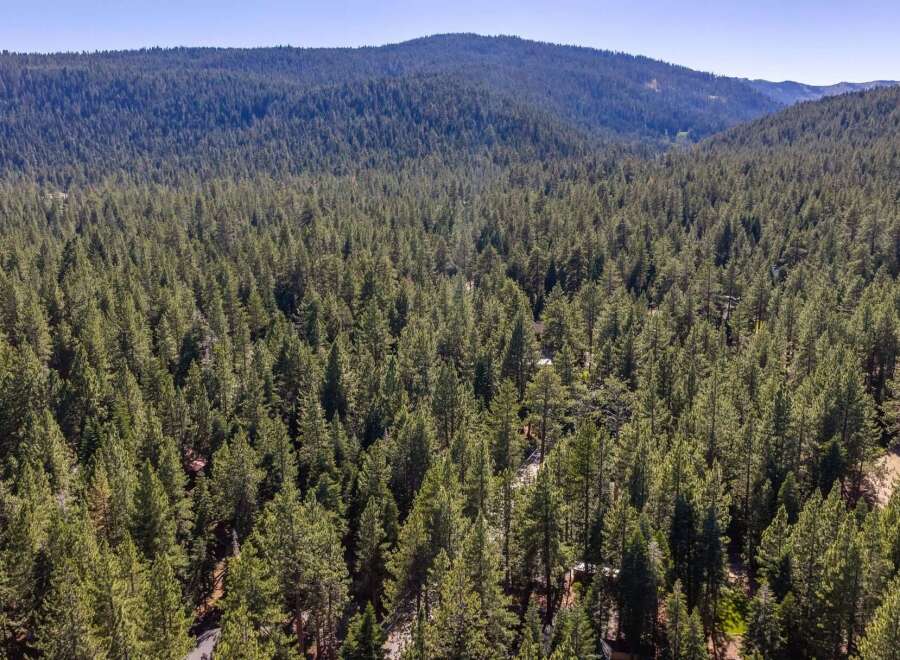 Discover an expansive forested estate offering unparalleled privacy and natural beauty.