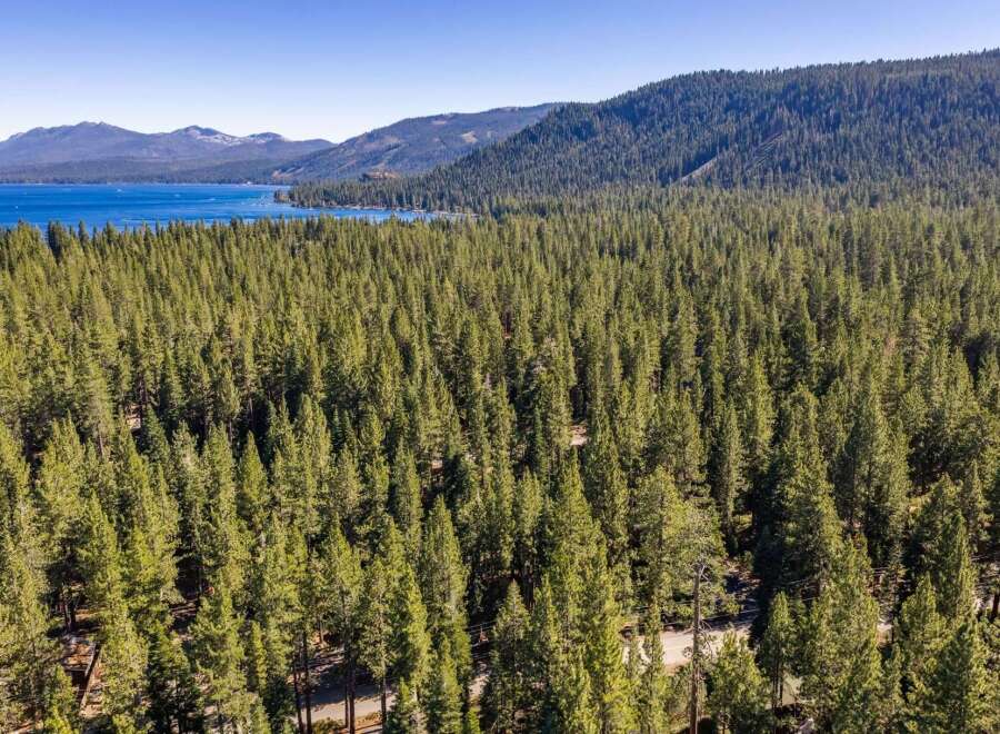 Experience the serene beauty of this lakeside property, nestled amidst a dense forest of towering pine trees.