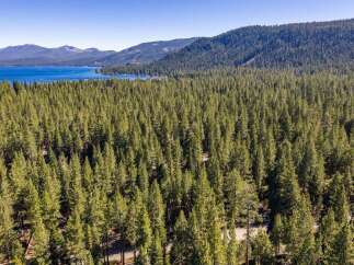Experience the serene beauty of this lakeside property, nestled amidst a dense forest of towering pine trees.