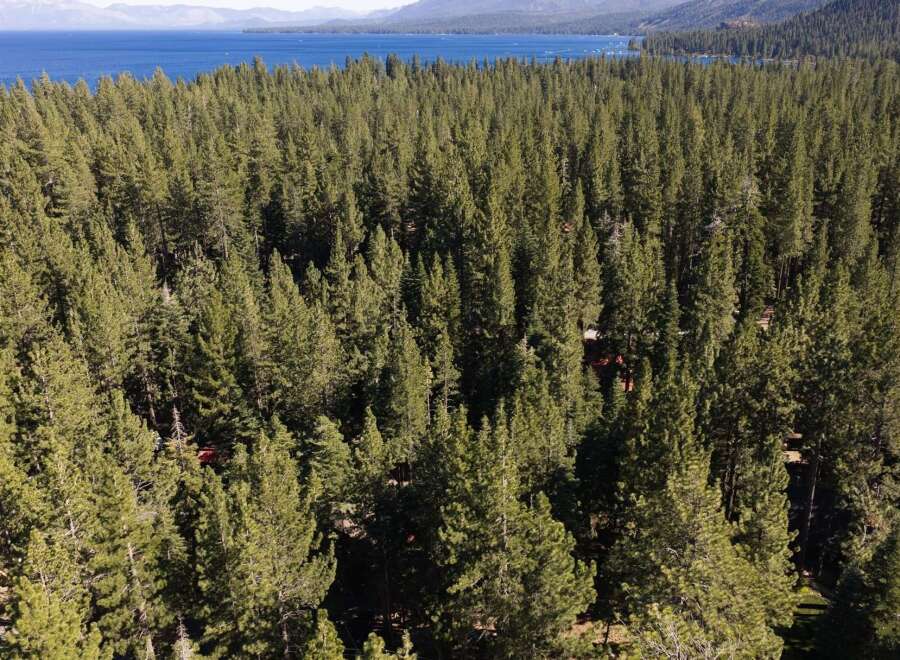 Nestled within a dense pine forest, this property offers a serene escape with stunning views of a large, blue lake and distant mountains.