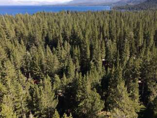 Nestled within a dense pine forest, this property offers a serene escape with stunning views of a large, blue lake and distant mountains.