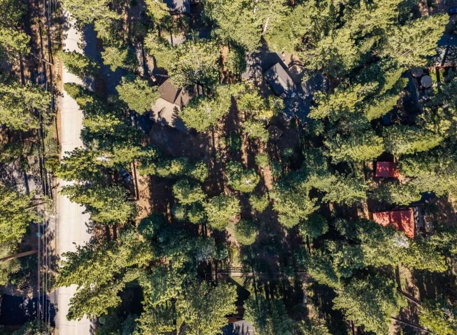 Discover this picturesque wooded lot, perfect for building your dream home amidst towering trees.